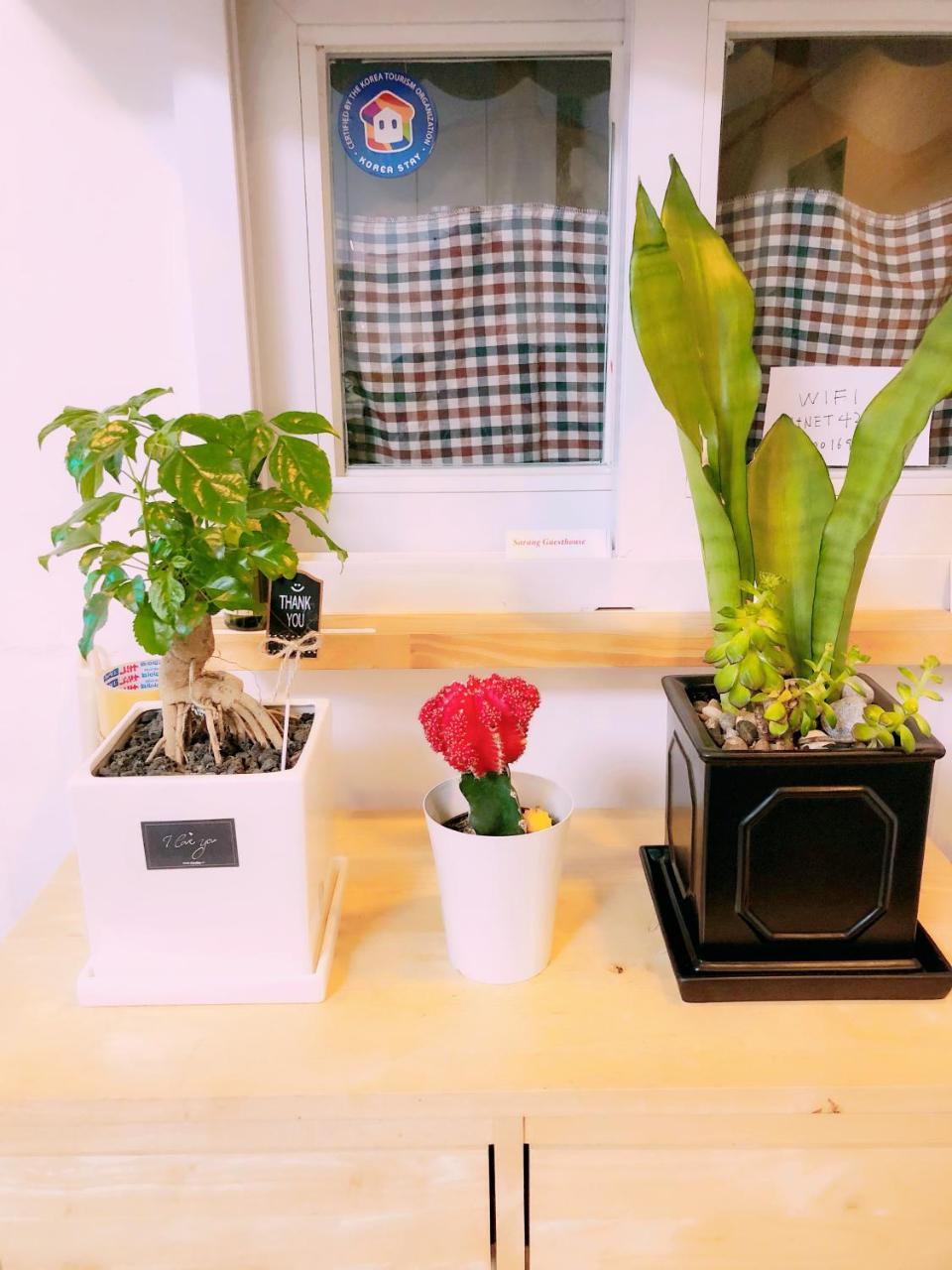 Sarang Guesthouse Dongdaemun Seul Esterno foto